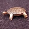 Metal Tortoise