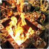 navagraha-homam1