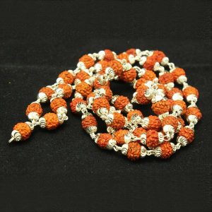 Shree Rudarksha Malas in Sliver 54 Beads