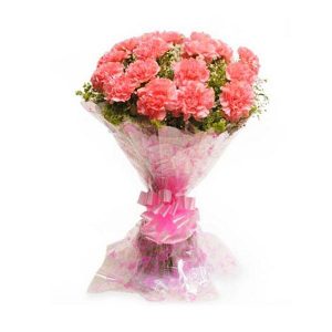 Carnival Pink Carnation Flower Boquet