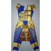 Bharatanatyam Dance Dress Blue & Gold